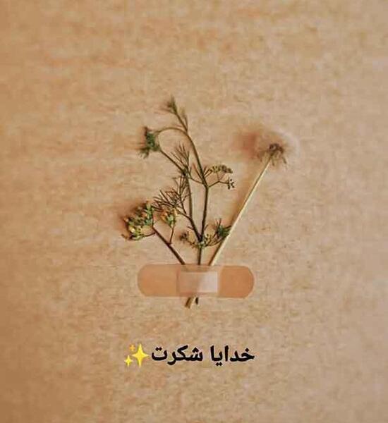 عکس تصویر پس زمینه خدایا شکرت
