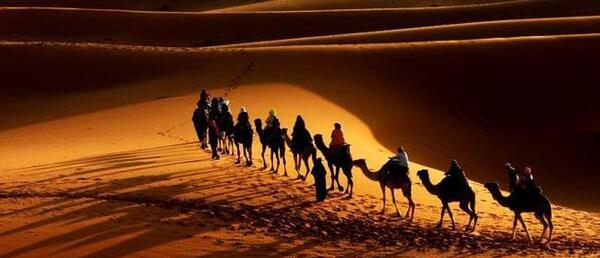 عکس تاتو کاروان شتر