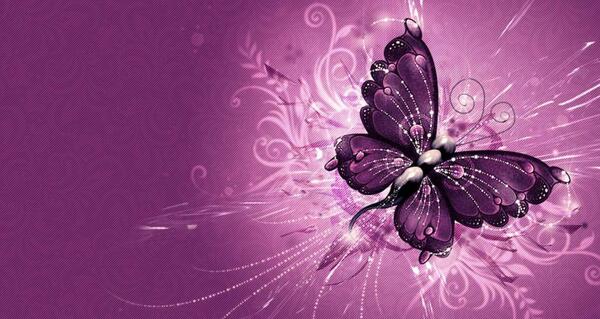 عکس پس زمینه بنفش پروانه