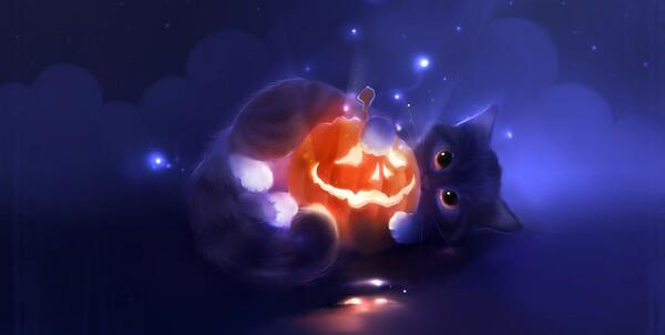 عکس بک گراند گربه بنفش