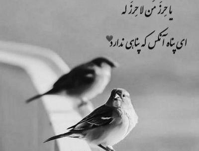 عکس تو عشقو دادی نشونم میخوامت