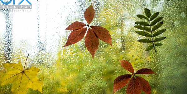 دانلود عکس پاییز