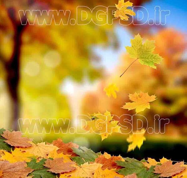 دانلود عکس پاییز