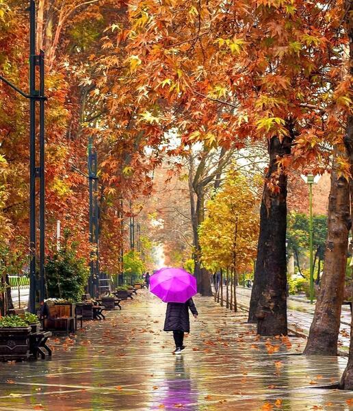 لوکیشن عکس پاییزی در تهران