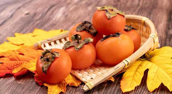 ایده عکس پاییزی با خرمالو