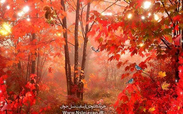 قاب عکس پاییزی کودکانه