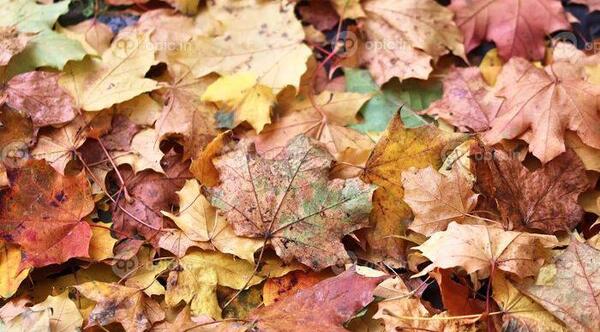 دانلود عکس های زیبای پاییزی