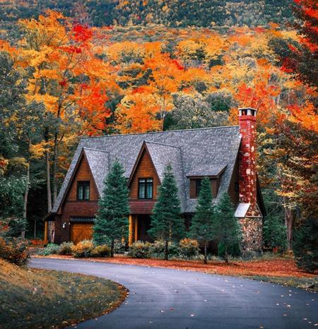 یک عکس زیبای پاییزی