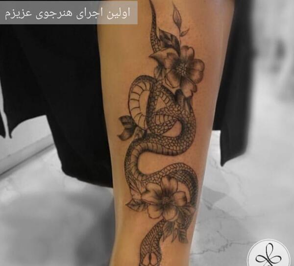 عکس اموزش تاتو در تهران