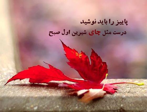 متن زیبای پاییزی برای عکس خودم