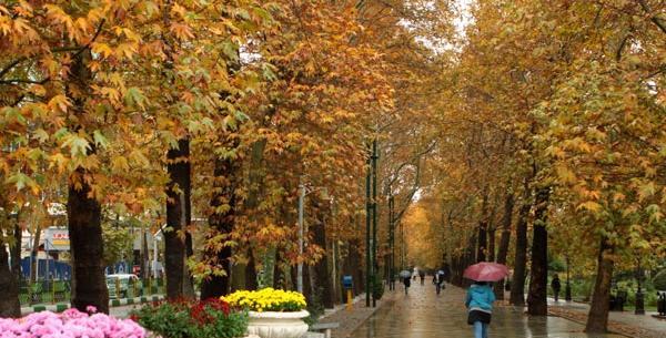 عکس تصاویر پاییز بارانی