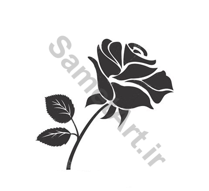 عکس تاتو خام گل رز