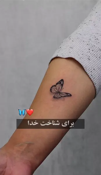 عکس تاتو خام پروانه