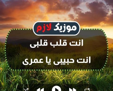 عکس آهنگ تو جان دلی درمان دلی با صدای بچه