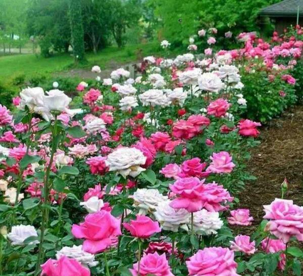 عکس تو جات همین بغله بگو خب ریمیکس