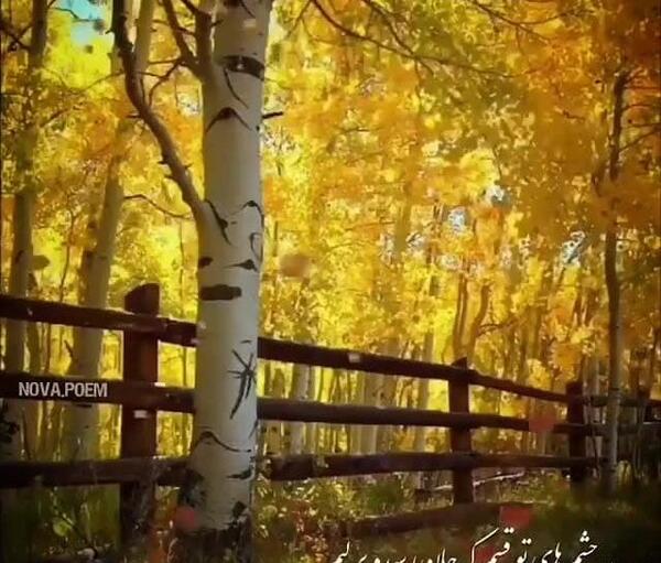 عکس کلیپ استوری پاییزی دخترانه