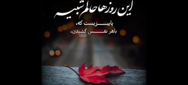 عکس کلیپ استوری پاییزی دخترانه