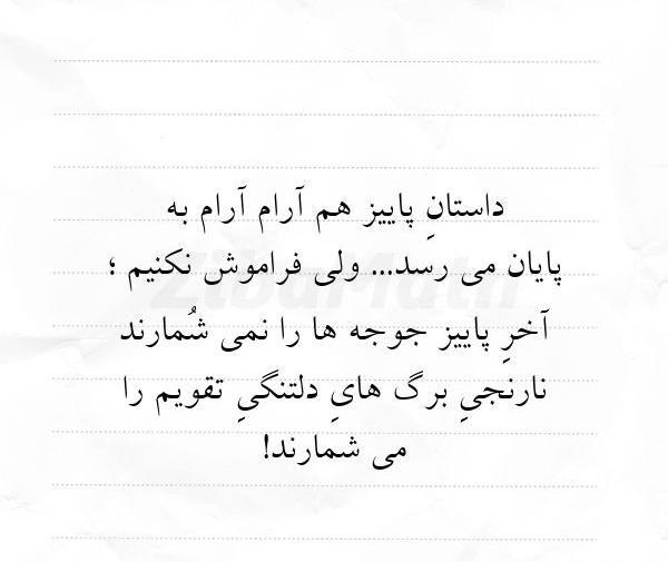 عکس استوری جوجه رو اخر پاییز میشمارن