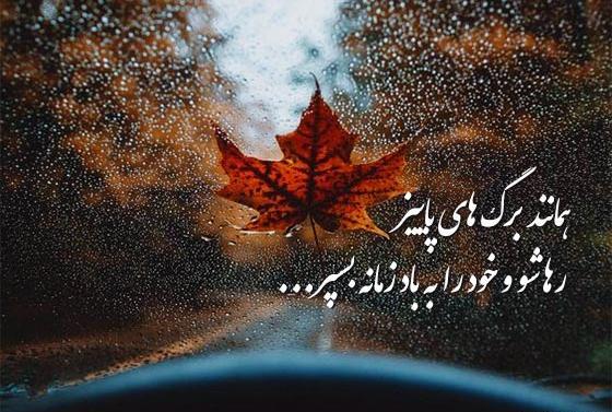 عکس استوری برای آخر پاییز
