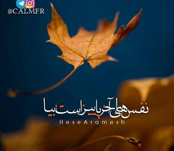 عکس استوری برای آخر پاییز