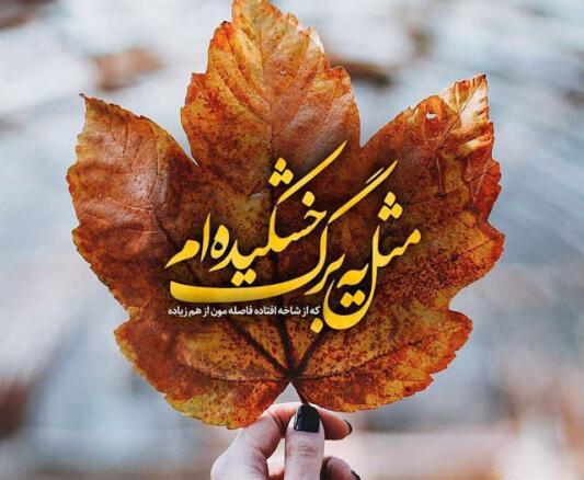 عکس استوری اخرای پاییز