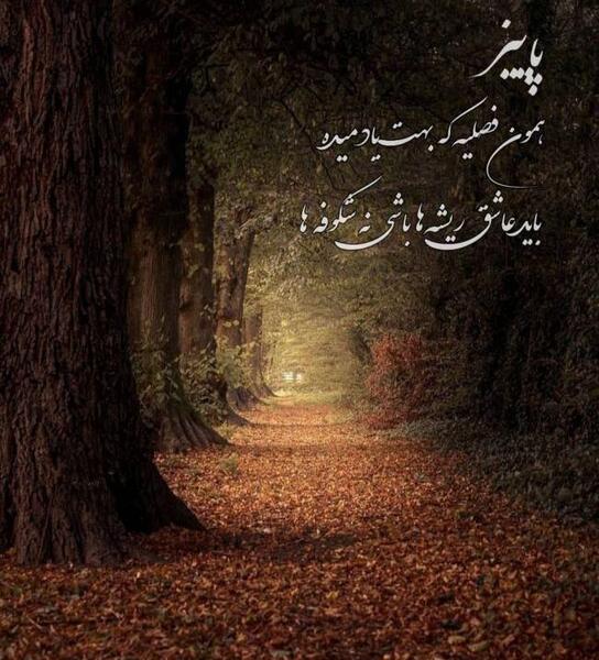 عکس استوری اخرای پاییز