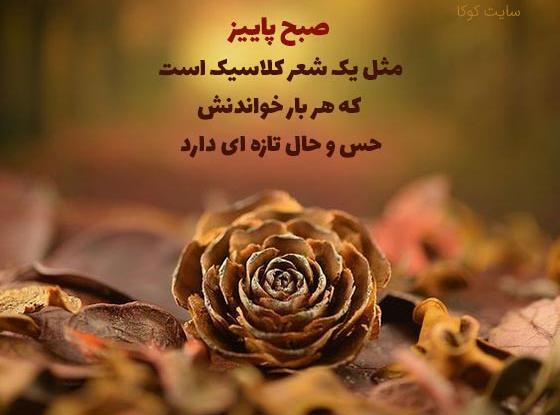 عکس استوری سلام صبح بخیر پاییزی