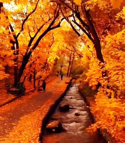 عکس کلیپ کوتاه پاییزی برای استوری