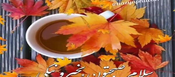 عکس کلیپ صبح بخیر پاییزی برای استوری