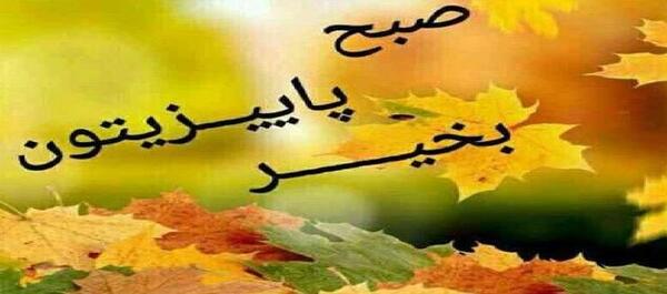 عکس کلیپ صبح بخیر پاییزی برای استوری