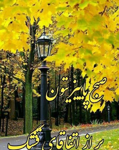 عکس کلیپ صبح بخیر پاییزی برای استوری