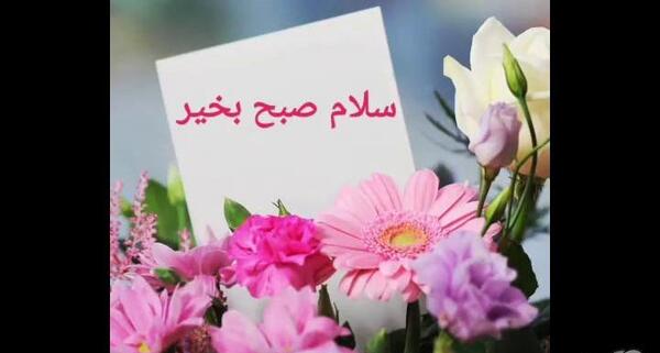 عکس کلیپ صبح بخیر پاییزی برای استوری