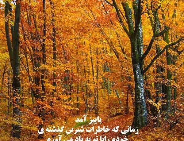 عکس کلیپ های پاییزی برای استوری