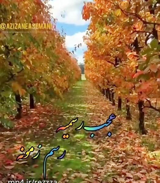 عکس کلیپ های پاییزی برای استوری