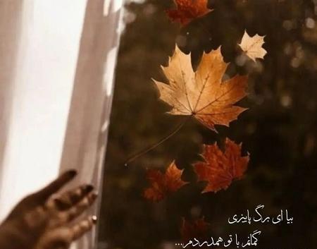 عکس استوری دخترانه پاییزی