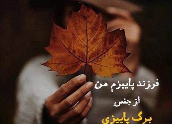 عکس استوری دختر پاییز
