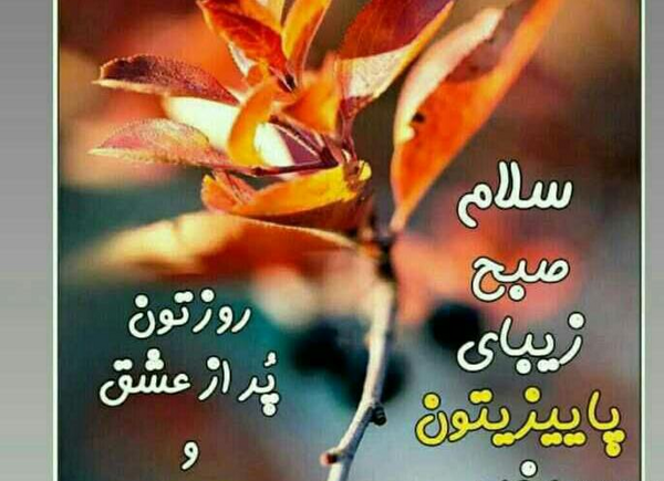 عکس استوری روز بخیر پاییزی