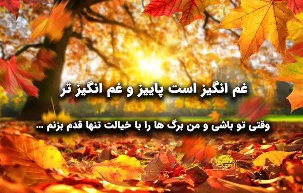 عکس استوری زیبای پاییز