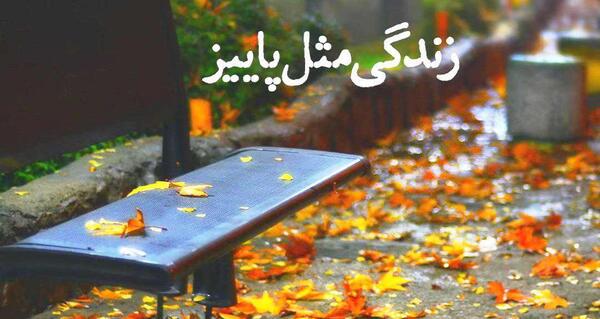 عکس استوری زیبای پاییز
