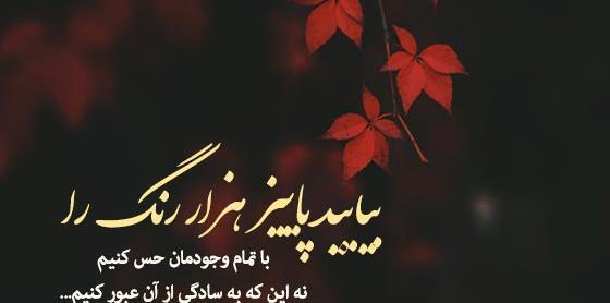 عکس استوری برای شروع پاییز