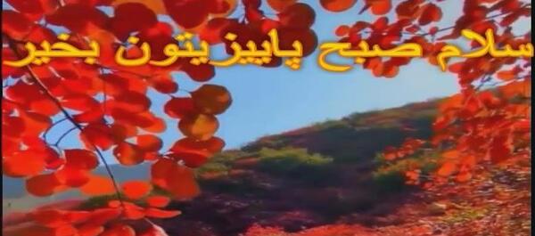 عکس استوری شب بخیر پاییزی