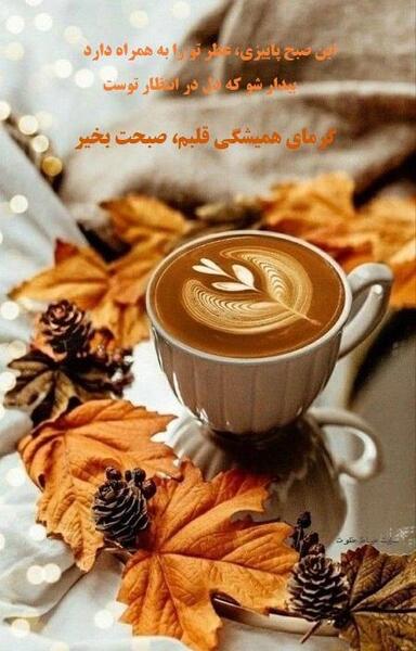 عکس استوری شب بخیر پاییزی