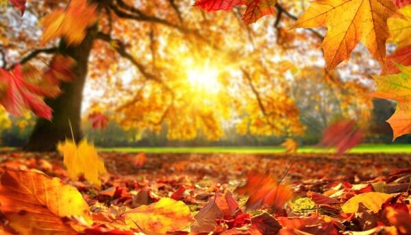 عکس اهنگ پاییز برای استوری شاد