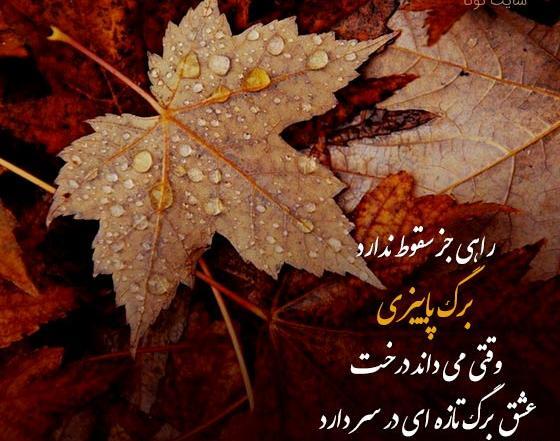 عکس اهنگ پاییز برای استوری شاد