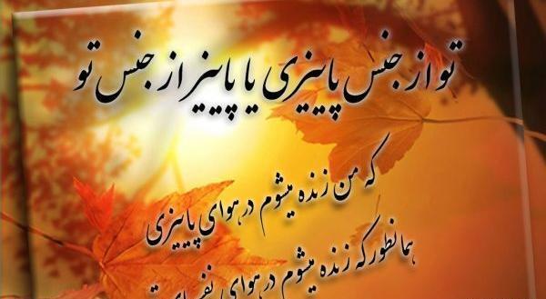 عکس استوری در مورد فصل پاییز