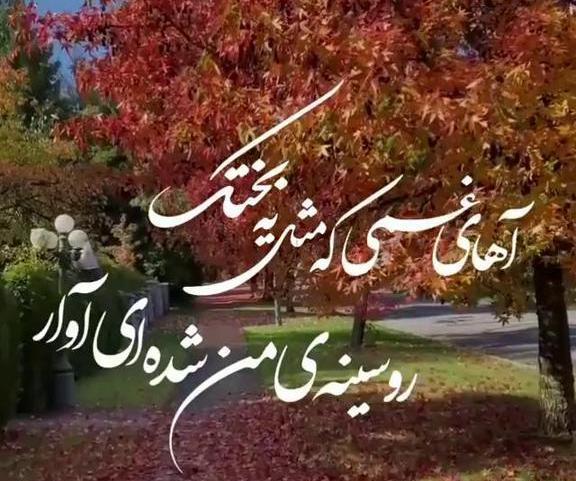 عکس کلیپ استوری پاییزی عاشقانه