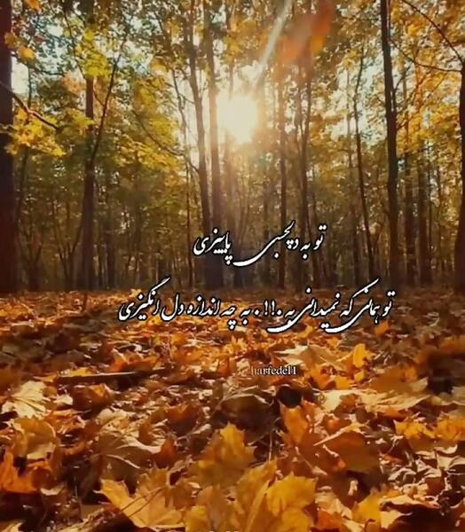 استوری کلیپ پاییزی