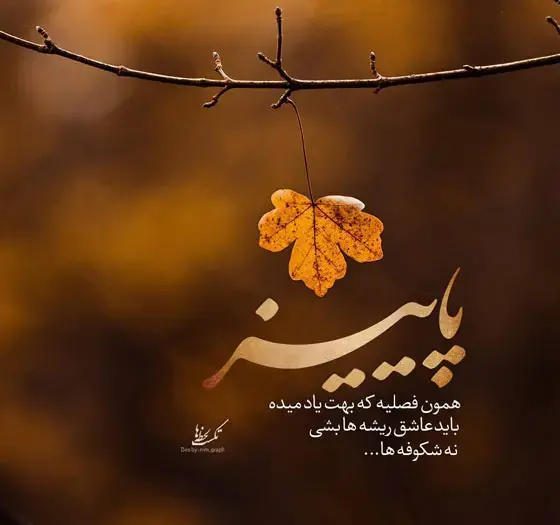 عکس استوری کوتاه پاییزی