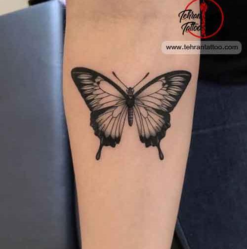 عکس تاتو پروانه رنگی