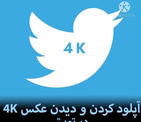 چرا عکس پروفایل توییتر بی کیفیت میشه